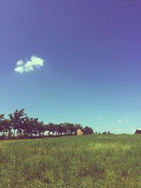 Scenic view of grassy field against cloudy sky