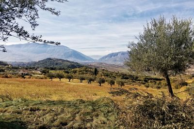 Scenic view of landscape and mountains against sky