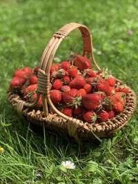 Close-up of strawberries in basket