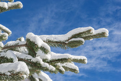 snow