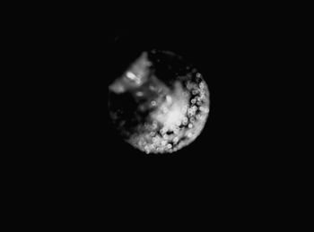 Close-up of apple against black background