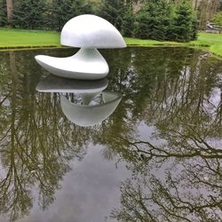 Reflection of tree in lake