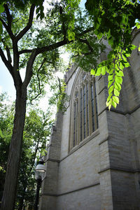 Low angle view of trees and building against sky