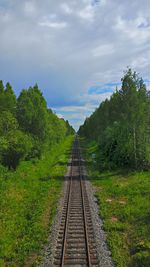 Railway tracks amidst trees against sky