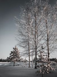 Bare trees on snow covered field against sky