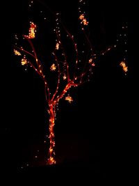 Low angle view of illuminated fireworks against sky at night