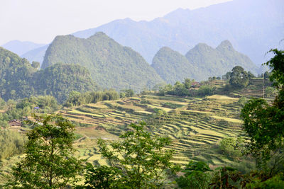 Scenic view of agricultural field against mountains