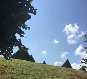 Low angle view of agricultural field against sky