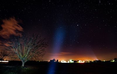 Silhouette trees against sky at night