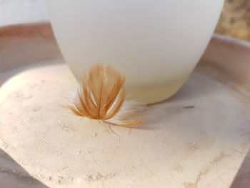 Close-up of spoon on table