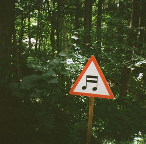 Road sign in forest