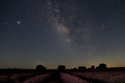 Scenic view of field against sky at night