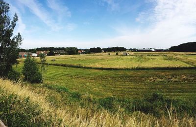 Scenic view of field against clear sky