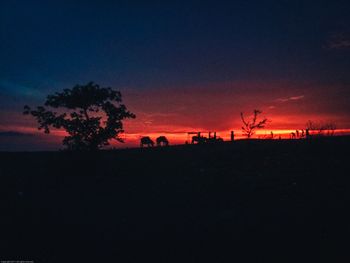 Silhouette trees on landscape against sky at night