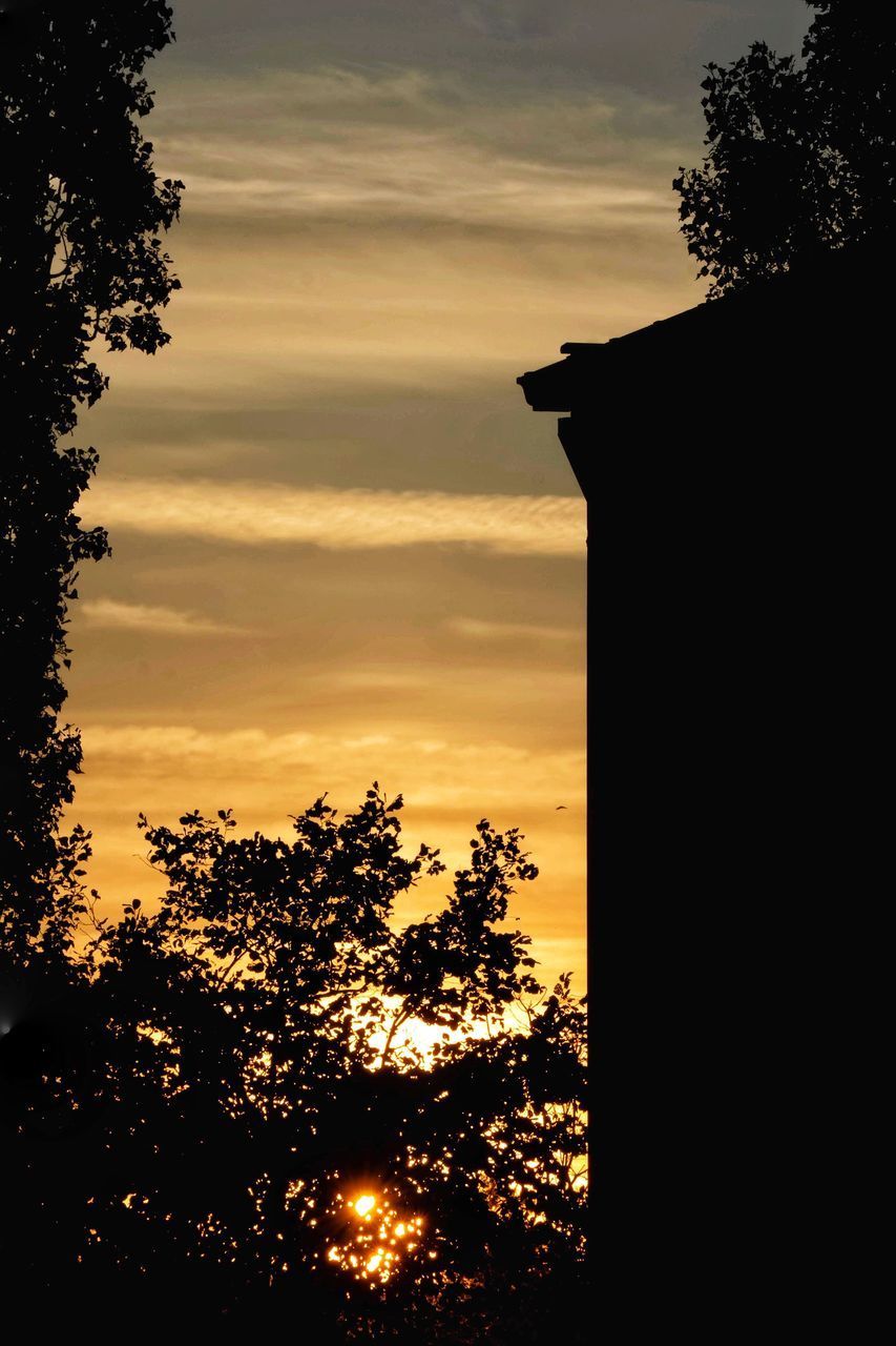 LOW ANGLE VIEW OF SILHOUETTE TREES AGAINST SKY AT SUNSET