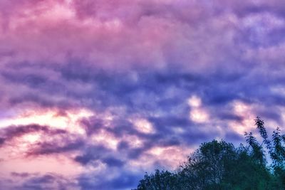 Low angle view of trees against cloudy sky