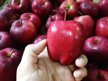 Close-up of hand holding strawberries