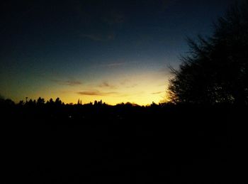 Silhouette of trees at sunset