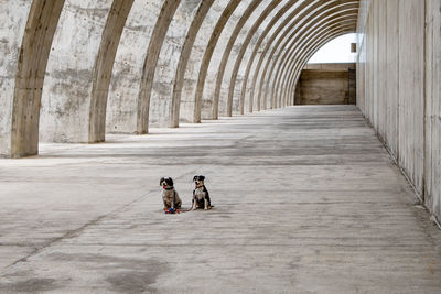 High angle view of people walking in tunnel