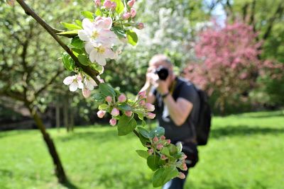 Woman with pink flowers on tree