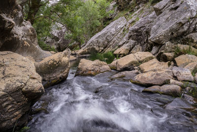 Stream flowing through rocks in forest