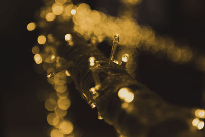 Close-up of illuminated christmas lights