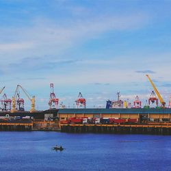 Cranes at commercial dock