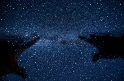 Low angle view of star field against sky at night