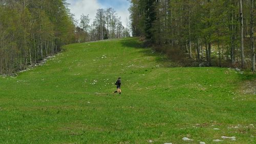 People walking on grassy field