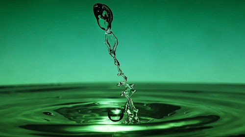 Close-up of water drop on green leaf