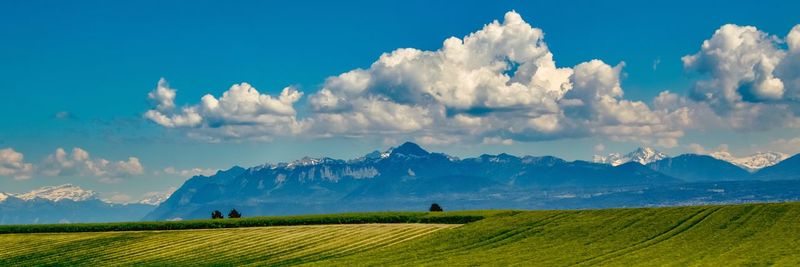 Panoramic view of agricultural field against sky