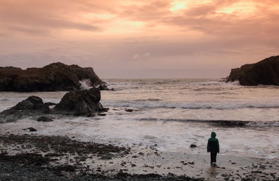 Rear view of person standing on shore at porth dafarch against cloudy sky