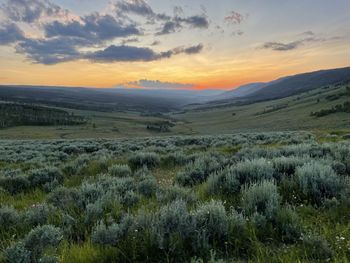 Scenic view of field against sky during sunset