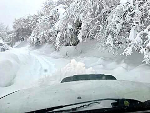 transportation, windshield, car, mode of transport, no people, snow, day, window, winter, car interior, land vehicle, nature, outdoors, close-up, tree, sky, freshness