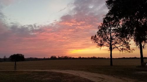 Silhouette trees on field against sky during sunset