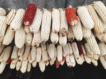 Close-up of dried corn