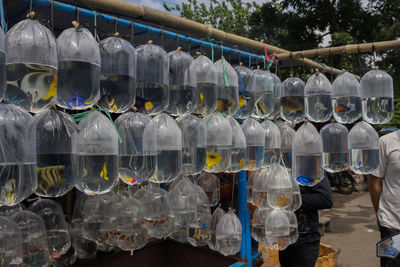 High angle view of bottles