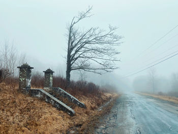 Bare tree by road against sky during winter