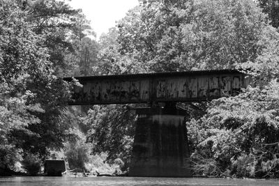Trees by bridge against sky