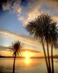 Palm trees on beach against sky during sunset