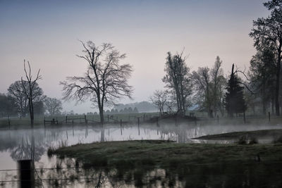 Trees by lake against sky