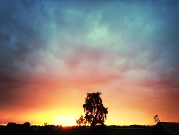 Silhouette of trees at sunset