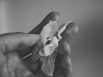 Cropped image of hand holding bouquet against white background