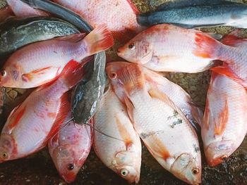 Full frame shot of fish for sale at market