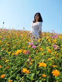 Full length of woman with flowers on field