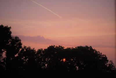Silhouette trees against sky during sunset