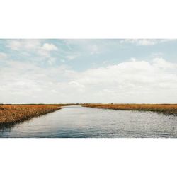 tranquil scene
