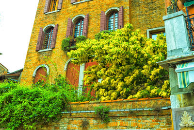 Low angle view of trees and building