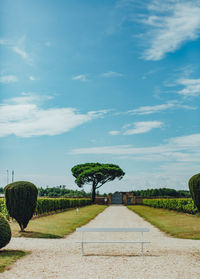 Empty road amidst field against sky