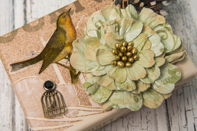 High angle view of flowering plant on table